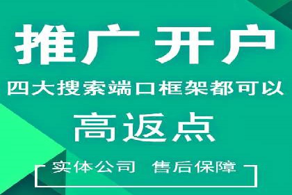百度竞价赚钱技巧：实战案例分析